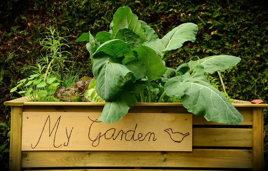 Raised Garden Bed: Your Ultimate Guide