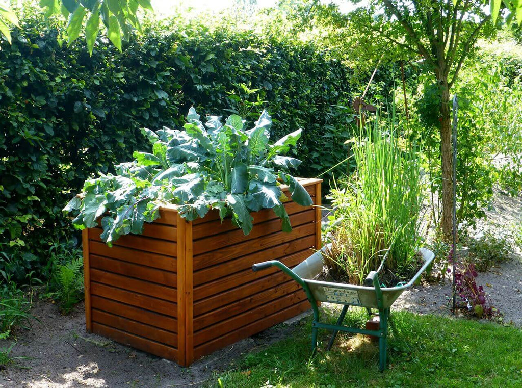 Choosing the Right Raised Bed for Your Garden