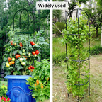Outdoor Garden Obelisk Trellis for Climbing Plants and Flowers Stands/Plant Support Black Lightweight Plant Tower