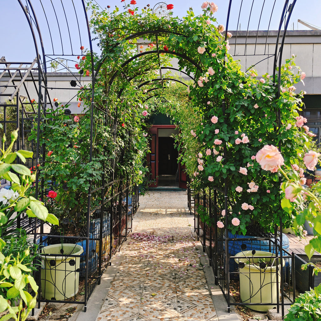 Metal Garden Arch with Gate 79.5'' Wide x 86.6'' High Climbing Plants Support Rose Arch Outdoor Black