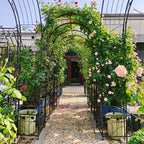 Metal Garden Arch with Gate 79.5'' Wide x 86.6'' High Climbing Plants Support Rose Arch Outdoor Black