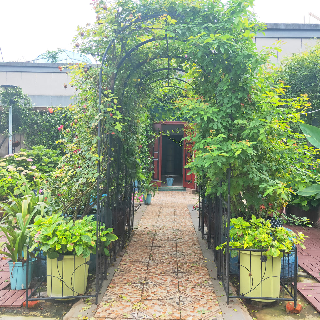 Metal Garden Arch with Gate 79.5'' Wide x 86.6'' High Climbing Plants Support Rose Arch Outdoor Black