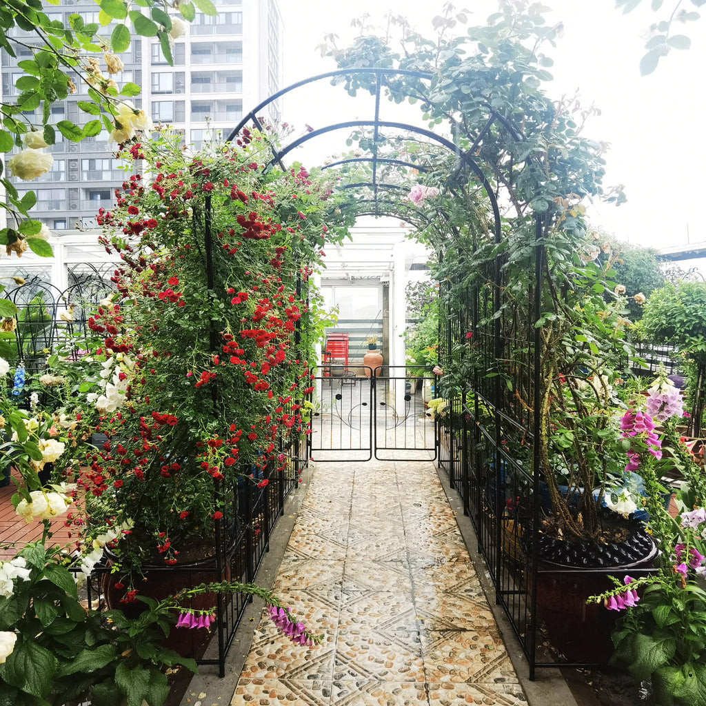 Metal Garden Arch with Gate 79.5'' Wide x 86.6'' High Climbing Plants Support Rose Arch Outdoor Black