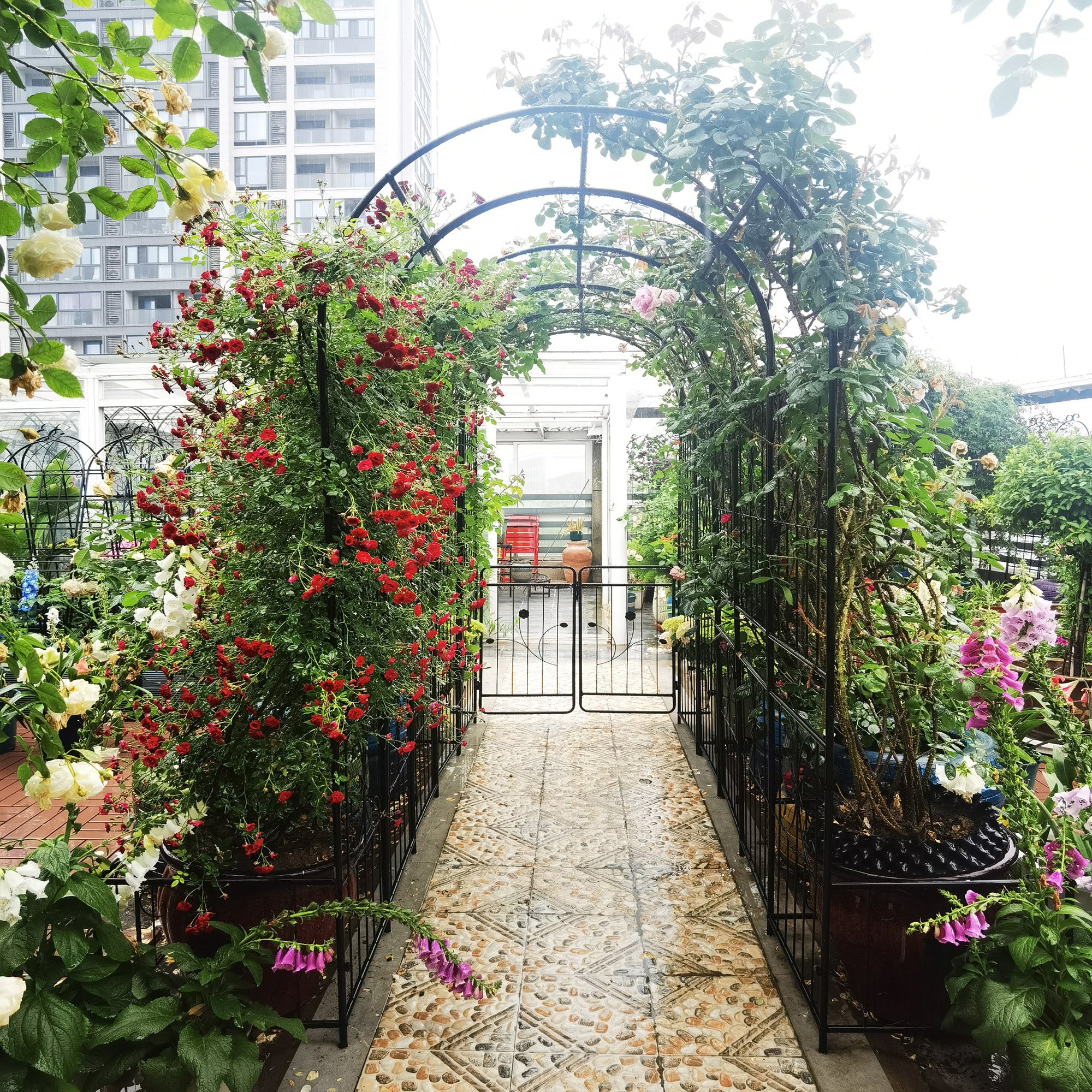 Metal Garden Arch with Gate 79.5'' Wide x 86.6'' High Climbing Plants Support Rose Arch Outdoor Black