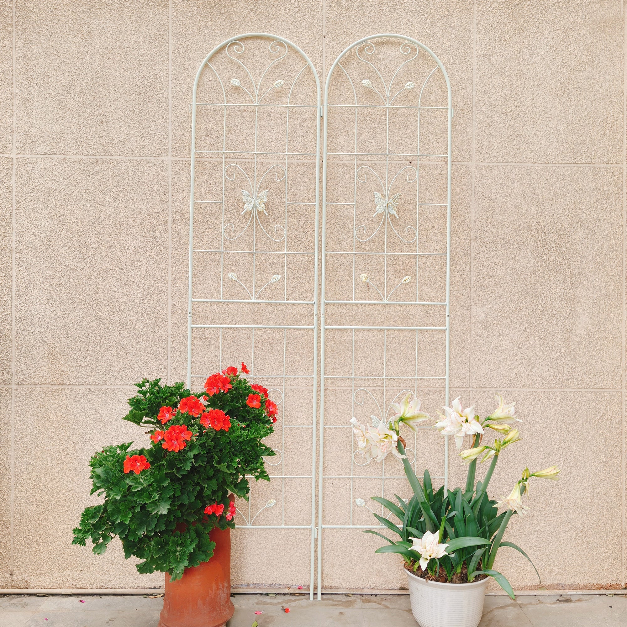 2 Pack Metal Garden Trellis 86.7