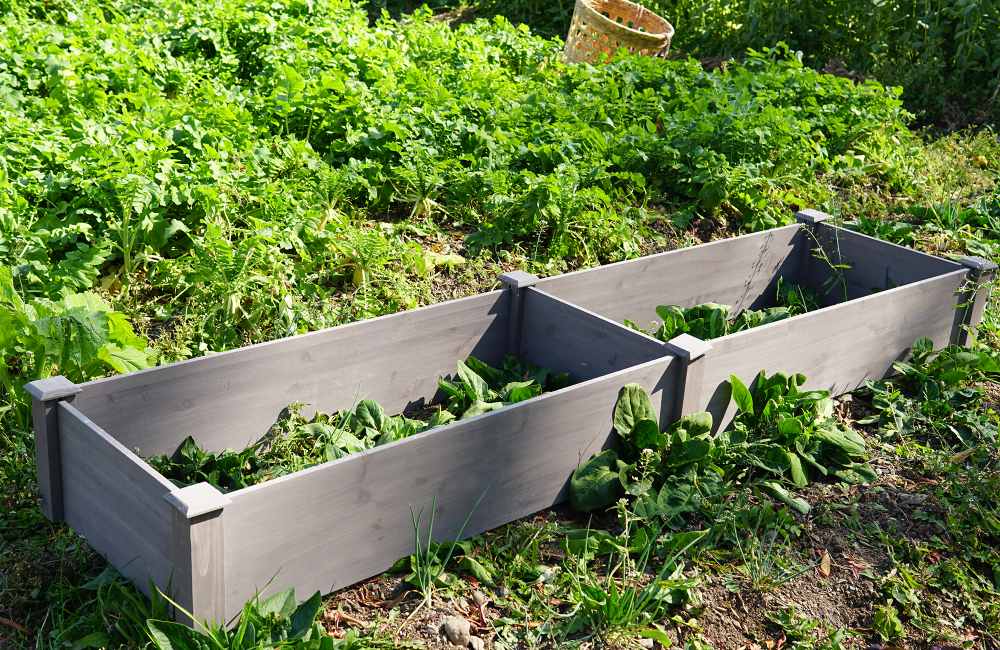 Wooden Raised Garden Bed Planter, Vegetable Planter Kit Box for Patio Gardening, Tool-Free Assembly, Gray