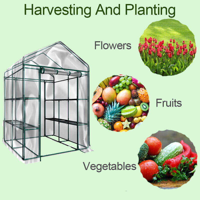 Arttoreal Walk-In Garden Greenhouse/Outdoor 56" x 56" x 76" Green House with 2 Tiers 8 Shelves Roll-Up Door Gardening Rack
